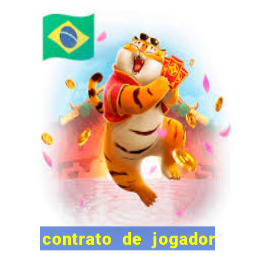 contrato de jogador de futebol word