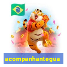 acompanhanteguanambi