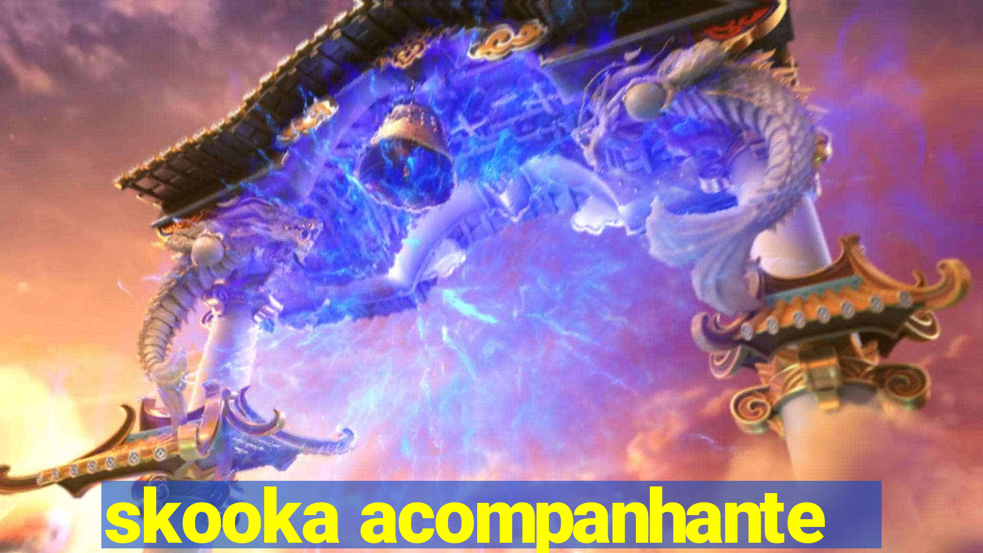 skooka acompanhante