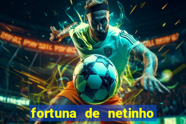 fortuna de netinho de paula