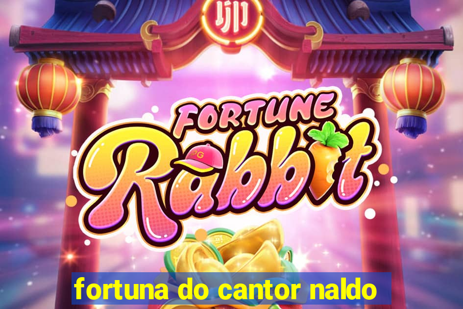 fortuna do cantor naldo